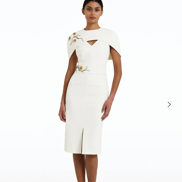 Safiyaa Dresses & Skirts - Safiyaa Rosa Cape Effect Embroidered Crepe Dress